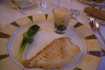 turbot